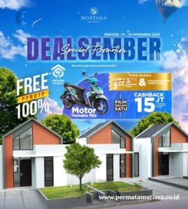 dealsember type padma